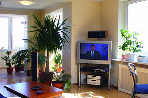 Телевизор в гостиной